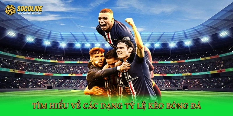 Tìm hiểu về các dạng tỷ lệ kèo bóng đá